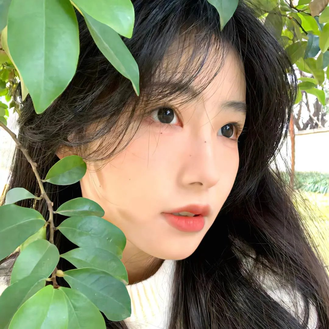 我亲爱的闻总监